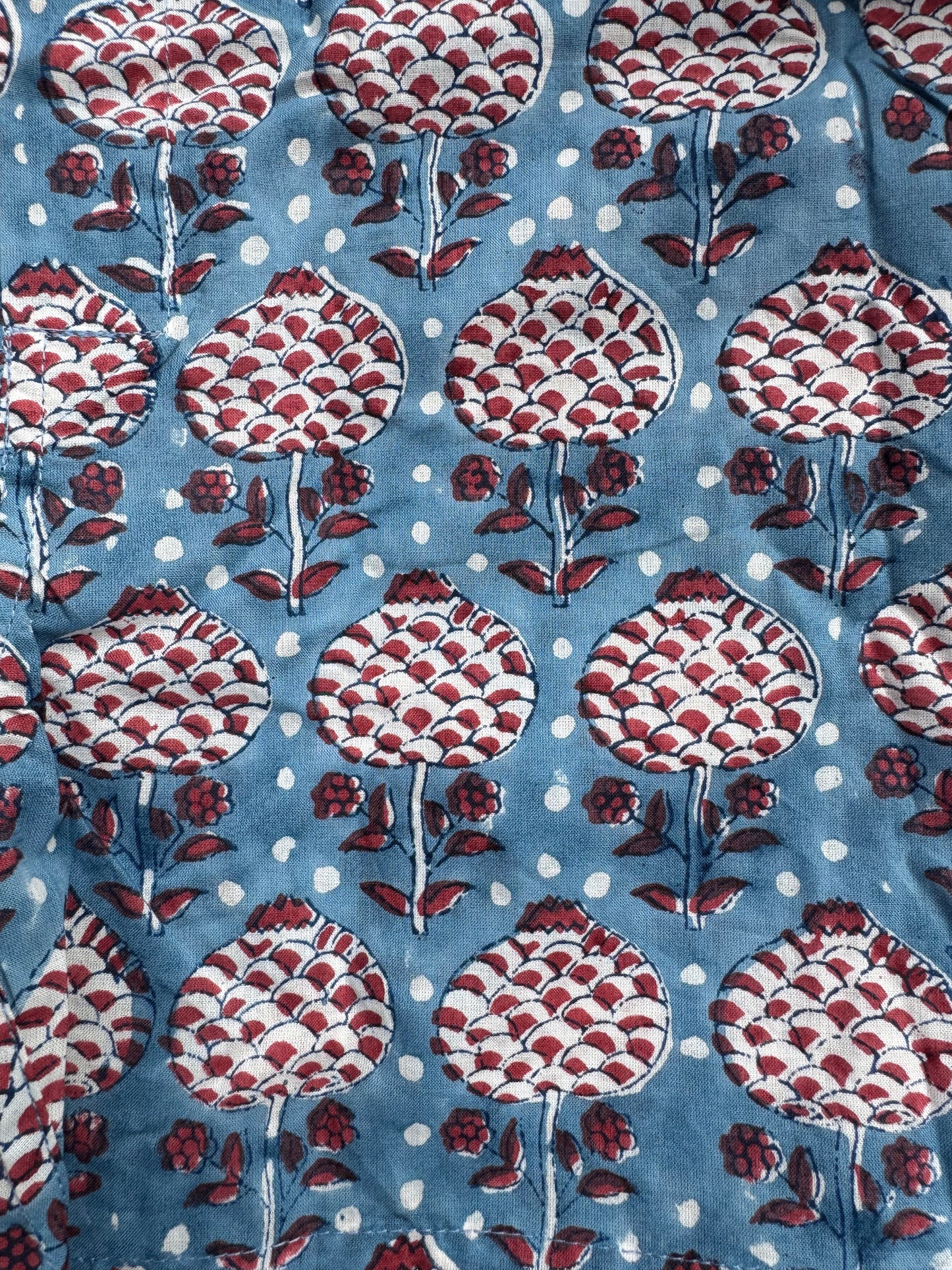 RED AND BLUE ARTICHOKE BOXER SHORTS